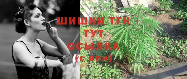 стафф Богородск