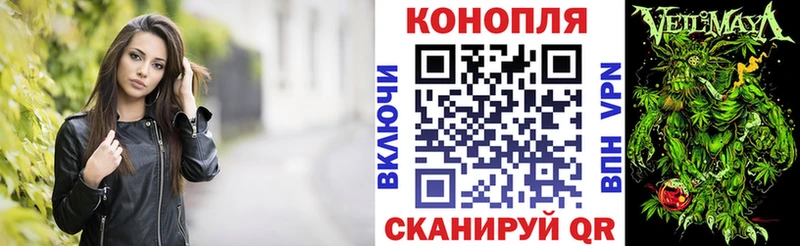 Шишки марихуана SATIVA & INDICA  Великий Новгород 